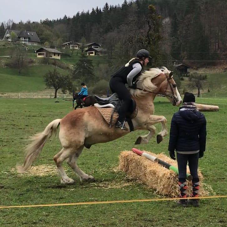 Ponyhof KlippKlapp - Ledenitzen - Faaker See